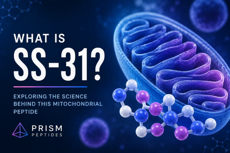 Scientific illustration representing SS-31 peptide research, mitochondrial function, and cellular energy biology.